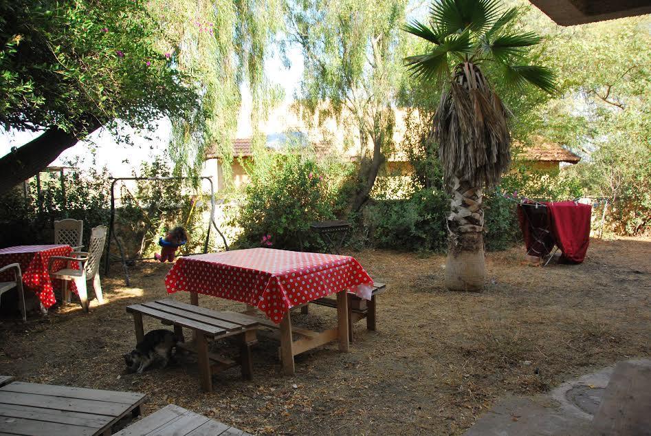 Lesanel - Guest House Arad Kültér fotó