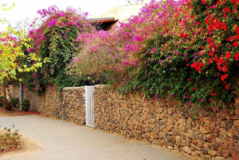 Lesanel - Guest House Arad Kültér fotó